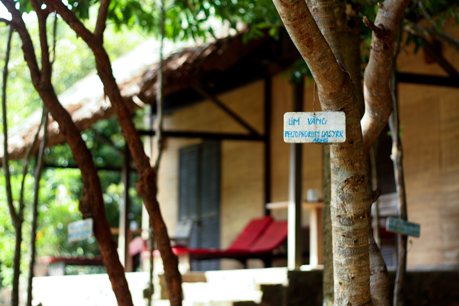 MANGO BAY RESORT